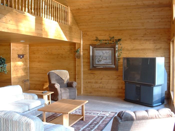 Beautiful wood living room